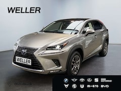 Bild des Angebotes Lexus NX 300h E-FOUR Executive Line *LED*AHK*Pano*Leder*
