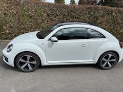 Bild des Angebotes VW Beetle The Beetle Diesel The 2.0 TDI DPF DSG Blue Motion Technologie Allstar