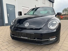 Bild des Angebotes VW Beetle Cup ** Panorama * Fender * Xenon  **
