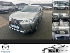 Bild des Angebotes Lexus UX 250h Executive Line