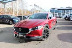 Bild des Angebotes Mazda CX-30 2.5L e-SKYACTIV G 140ps 6AT FWD Homura