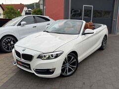 Bild des Angebotes BMW 220 Cabrio 220 d Luxury Line*NAVI*LED*HIFI*LEDER*TOP