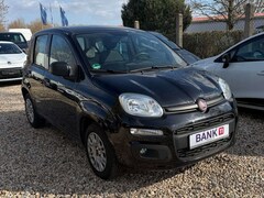 Bild des Angebotes Fiat Panda Easy*Garantie*TÜV+Service Neu*