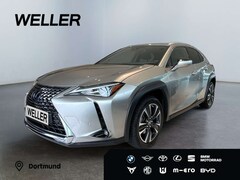 Bild des Angebotes Lexus UX 250h Style Edition *Bi-LED*AHK*CAM*ACC*SHZ*PDC*
