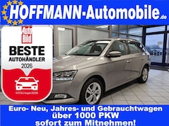 Bild des Angebotes Skoda Fabia Ambition App-Connect,Allwetterreifen