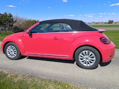 Bild des Angebotes VW Beetle The Beetle Cabriolet The Cabriolet 1.2 TSI (BlueMo