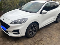 Bild des Angebotes Ford Kuga Kuga 1.5 EcoBoost ST-LINE