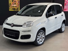 Bild des Angebotes Fiat Panda Easy*Twinair Natural Power Easy*Benzin/GAS*1.Hand*
