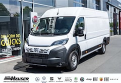 Bild des Angebotes Fiat Ducato Kasten Serie 2 Maxi 35 L4H2 180 AT 6E CARGO PLUS W