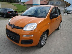 Bild des Angebotes Fiat Panda Easy