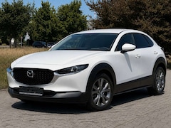 Bild des Angebotes Mazda CX-3 0 EDITION 100*BOSE*ACC*ASSIST*LEDER*VOLL*