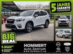 Bild des Angebotes Subaru Forester 2.0ie AWD Platinum *AHK*beh.Lenk*Pano*