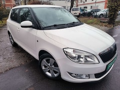 Bild des Angebotes Skoda Fabia Greenline