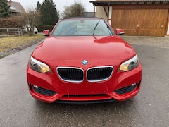 BMW 218 i Cabrio*Leder*Navi*TÜV/AU NEU*