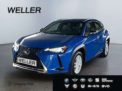 Bild des Angebotes Lexus UX 250h Launch Edition *Bi-LED*ACC*CAM*SHZ*Navi*