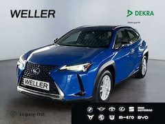Bild des Angebotes Lexus UX 250h Launch Edition *Bi-LED*ACC*CAM*SHZ*Navi*