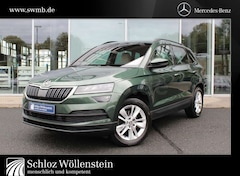 Bild des Angebotes Skoda Karoq 2.0 TDI 4x4 Style LED/AHK/ACC/Business/Cam
