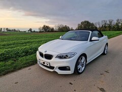 Bild des Angebotes BMW 228 228i Cabrio M Sport