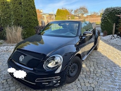 Bild des Angebotes VW Beetle VW Beetle Cabriolet „Sound“ 1.2 TSI