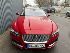 Bild des Angebotes Jaguar XF Portfolio