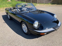 Alfa Romeo Spider Spider 1.6 Vergaser ( Weber )