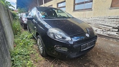 Bild des Angebotes Fiat Punto More*1.4 benzin*TÜV*KLIMA*
