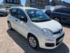Bild des Angebotes Fiat Panda Pop*TÜV NEU*1 HAND*KLIMA*SEHR SAUBER*