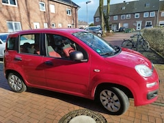 Bild des Angebotes Fiat Panda Panda/Pandina+1.2+Easy