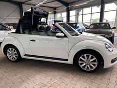 Bild des Angebotes VW Beetle Cabriolet Basis BMT,Automatik,1.HAND