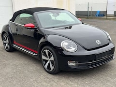 Bild des Angebotes VW Beetle Cabriolet Club BMT TEMPO|CARPLAY|SHZ|NAVI