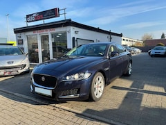 Bild des Angebotes Jaguar XF XF 25t Portfolio | HU NEU | Garantie