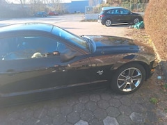 Bild des Angebotes Ford Mustang Mustang 5.0 Ti-VCT V8 Aut. GT