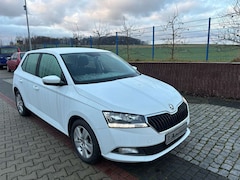 Bild des Angebotes Skoda Fabia 1.0 TSI Clever