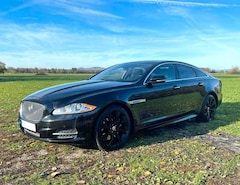 Bild des Angebotes Jaguar XJ PREMIUM LUXURY AWD