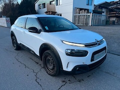 Bild des Angebotes Citroen C4 Cactus 1.5 BlueHDi *NEUER Zahnriemen+Kette*