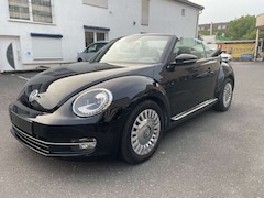 Bild des Angebotes VW Beetle Cabriolet Design BMT 2.0TDI Navi Xenon