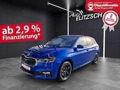 Bild des Angebotes Skoda Fabia Tour ACC KLIMA LED