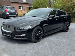 Bild des Angebotes Jaguar XJ Premium Luxury