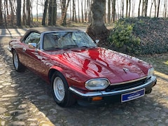 Bild des Angebotes Jaguar XJS 4.0L Cabrio, Leder, Autom., sehr gepflegt!!!