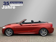 Bild des Angebotes BMW 240 M240i Cabrio M-Performance*Buisness*Harman&Kardon*