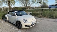 Bild des Angebotes VW Beetle The Cabriolet 2.0 TSI Sport