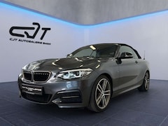 Bild des Angebotes BMW 240 Cabrio xDrive*H&K*8.FACH*RFK*KEYL*LEDER*DE