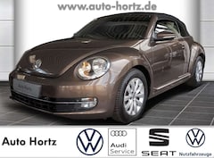 Bild des Angebotes VW New Beetle Cabriolet Design 1.2 TSI , Leder, Alu u