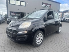 Bild des Angebotes Fiat Panda My Panda