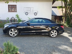 Bild des Angebotes Mercedes-Benz E 250 Cabrio BlueEFFICIENCY 7G-TRONIC Elegance