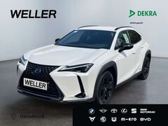 Bild des Angebotes Lexus UX 250h Style+ Edition *LED*ACC*CAM*SHZ*CarPlay*
