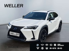 Bild des Angebotes Lexus UX 250h Style+ Edition *LED*ACC*CAM*SHZ*CarPlay*