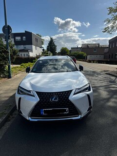 Bild des Angebotes Lexus UX 250h UX 250h Amazing Edition
