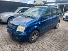 Bild des Angebotes Fiat Panda 1.2 8V Dynamic,Klima,Servo,TÜV 12/2025