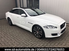 Bild des Angebotes Jaguar XJ XJ50 20" ZOLL + R-SPORT + PANORAMA